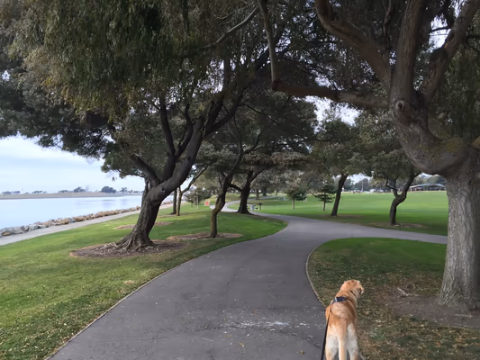 Marina Dog Park photo 2